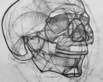 Премия «Конструктивный анализ». Рисунок черепа, бум., карандаш, 8 акад. часов<br/> Анна Данилова 14 лет. Преподаватель ДХШ Самаева Р.Б.