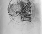 Премия «Конструктивный анализ». Рисунок черепа, бум., карандаш. 8 ак. часов<br/> Анастасия Уразгулова 14 лет. Преподаватель Отческая Т.А.